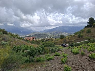 Terreny rústic en venda a Viñuela