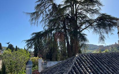 Vista exterior de Casa o xalet en venda en  Granada Capital amb Terrassa i Balcó