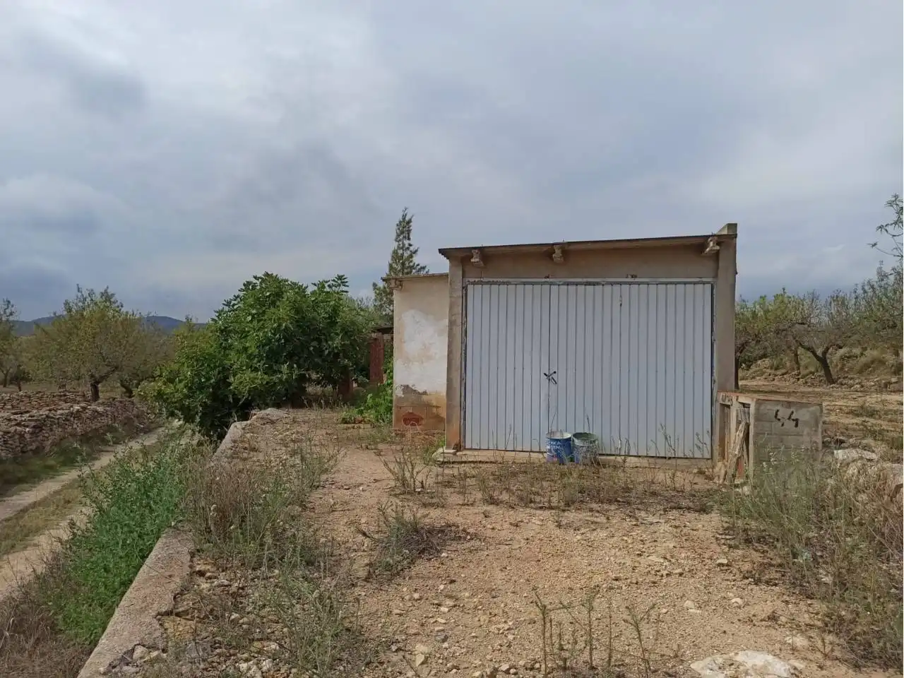 Terreno rustico in vendita a Cervera del Maestre, imagen 11