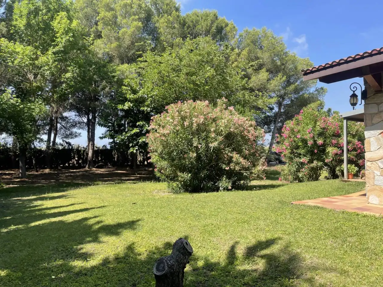 Jardín de Casa o chalet en venta en Móra d'Ebre con Aire acondicionado, Calefacción y Jardín privado