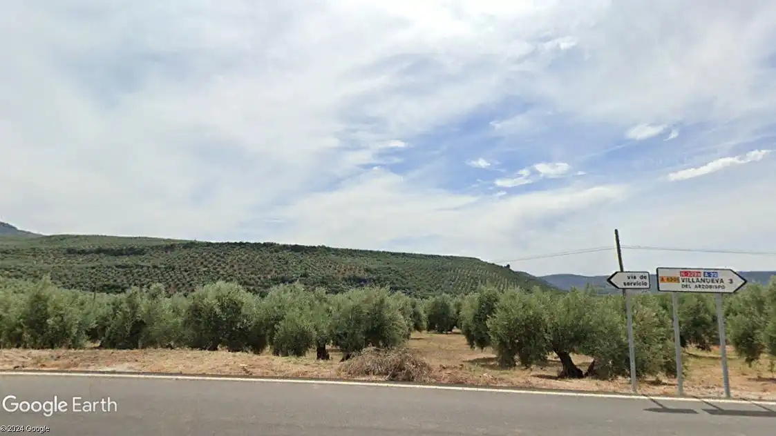 Terreni e lotti in vendita a Villanueva del Arzobispo, imagen 2
