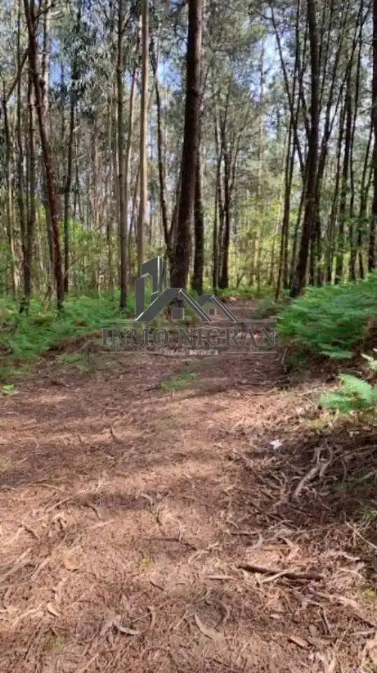Lands and plots for sale in Santistas, imagen 11