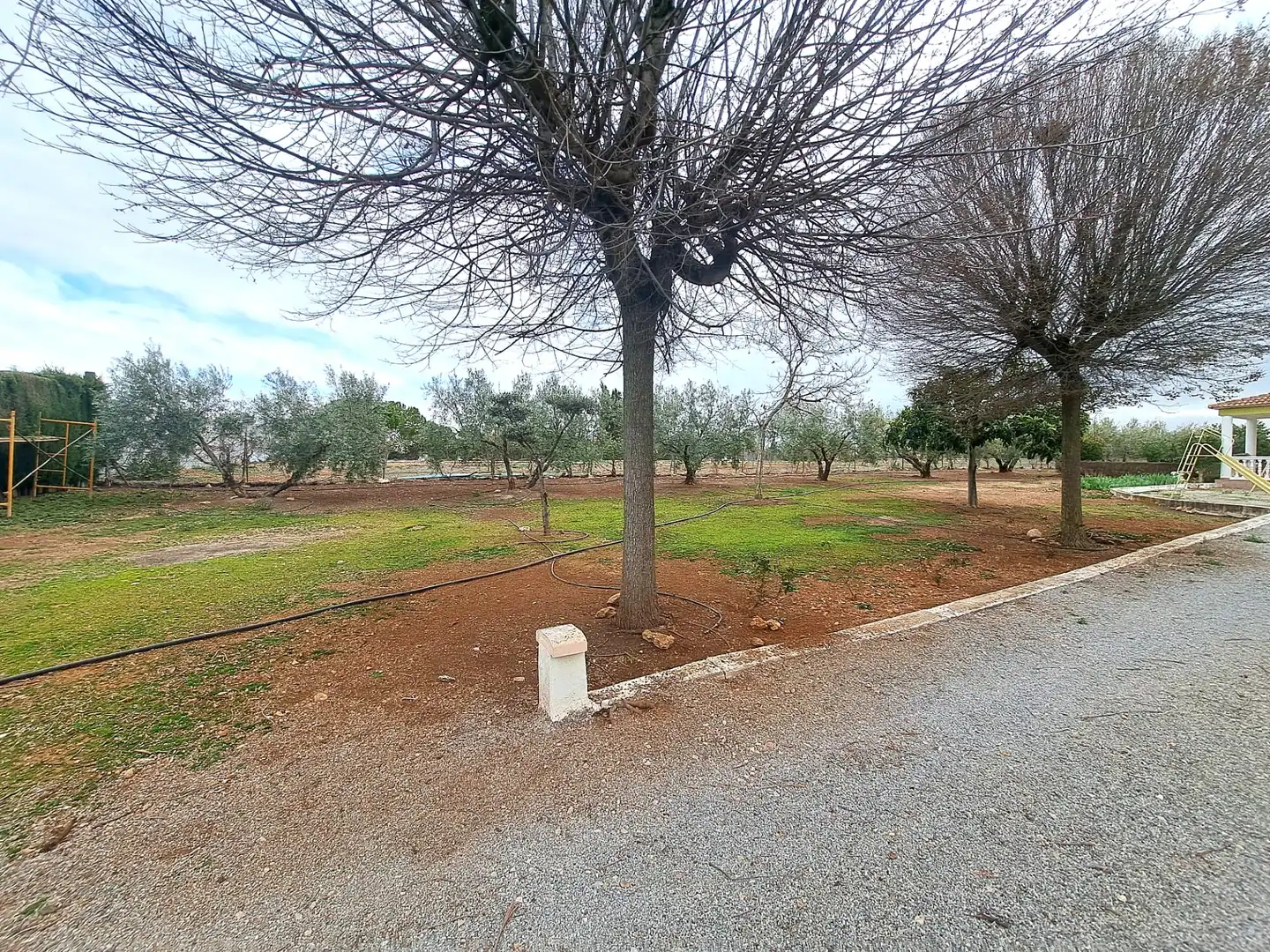 Terreny rústic en venda a Moraleda de Zafayona, imagen 15