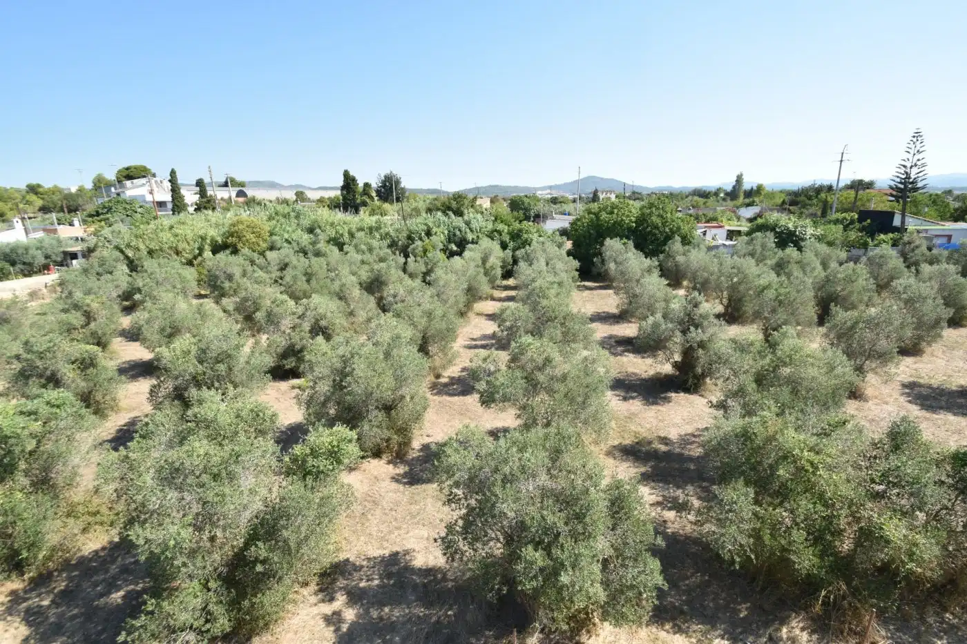 Country homes for sale in Vilanova i la Geltrú  with Terrace and Balcony