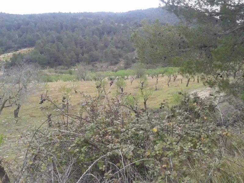 Lands and plots for sale in C/ Las Lagunas, imagen 8