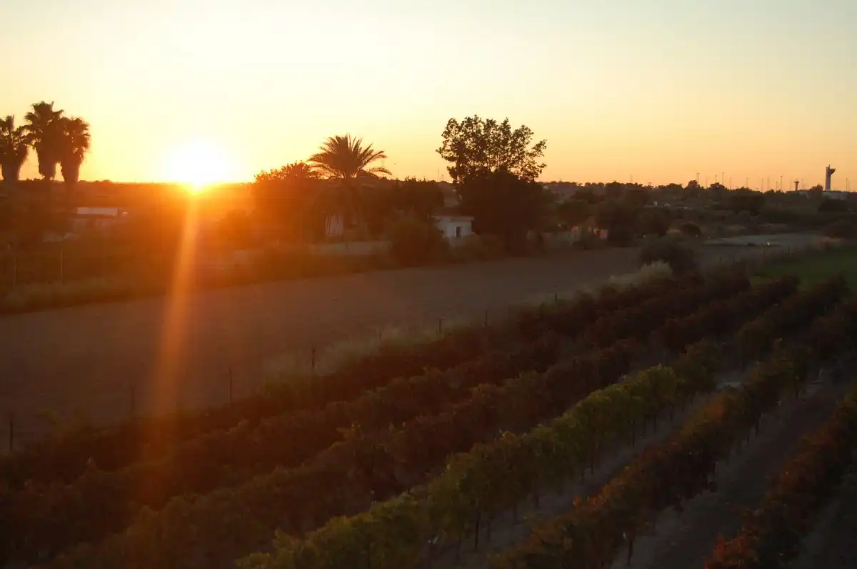 Vista exterior de Finca rústica en venta en El Puerto de Santa María con Aire acondicionado, Trastero y Piscina