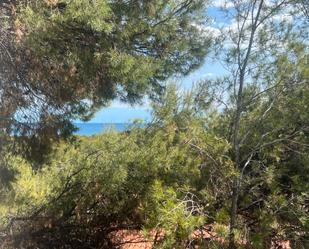 House or chalet for sale in Partida Renega, La Renegà-Torre Bellver-Les Platgetes