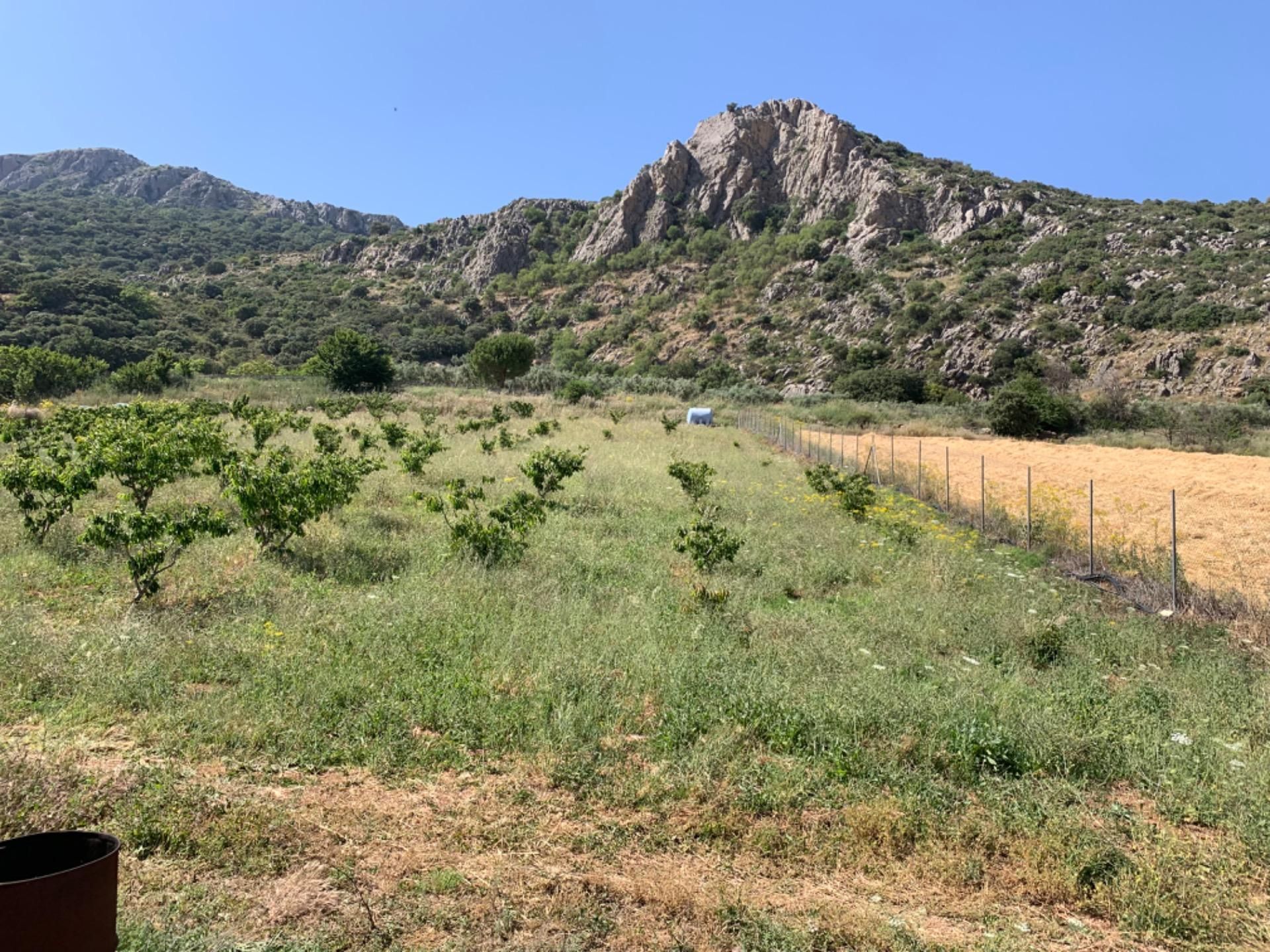 Finca rústica en venda en Alfarnate amb Jardí privat, Terrassa i Traster