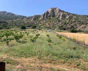 Finca rústica en venda en Alfarnate amb Jardí privat, Terrassa i Traster