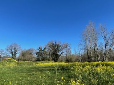 Terreno residenziale in vendita a Ontoria - BO ONTORIA 103