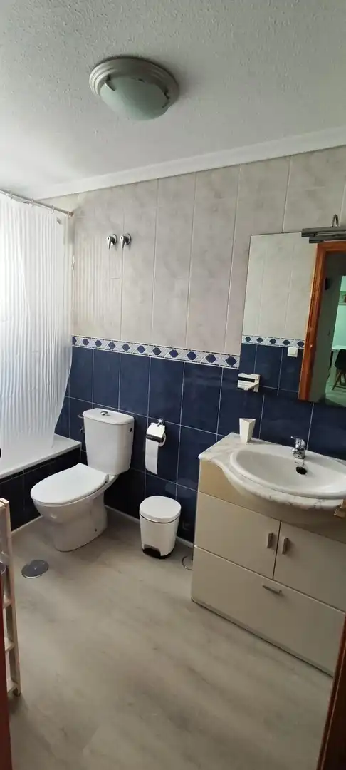 Apartament amb terrassa de lloguer a Gran Alacant, imagen 13