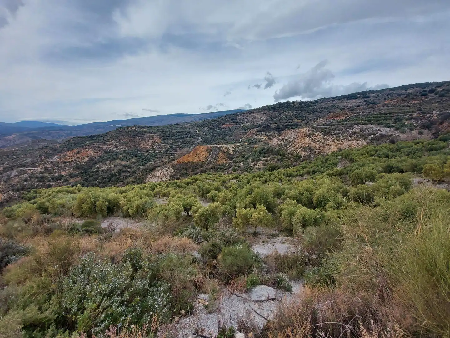 Country homes for sale in Nevada