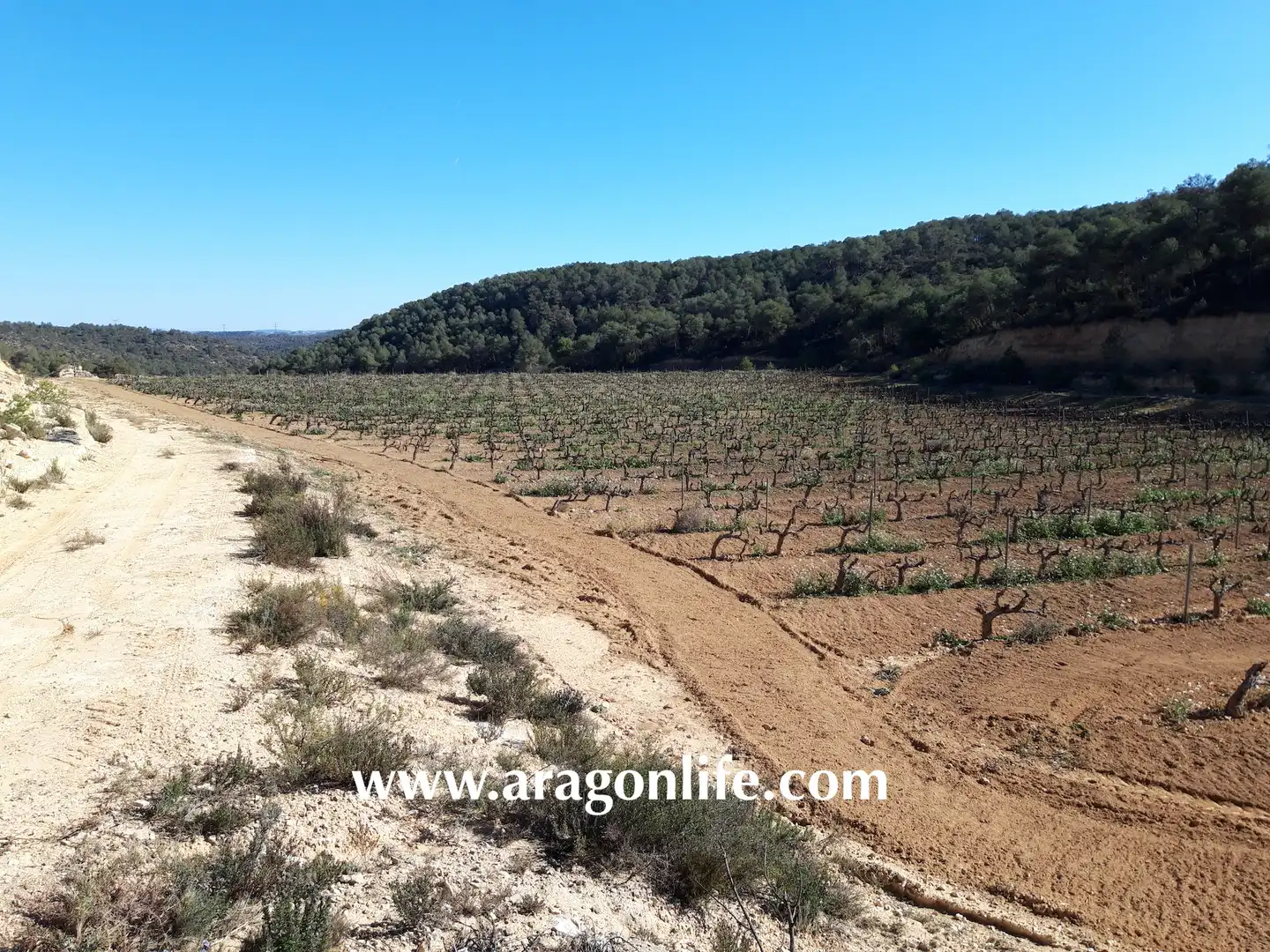 Finca rústica en venta en Nonaspe