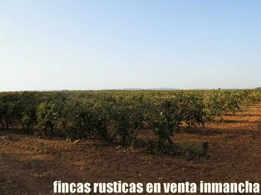 Terrenys i solars en venda a Almagro, imagen 8