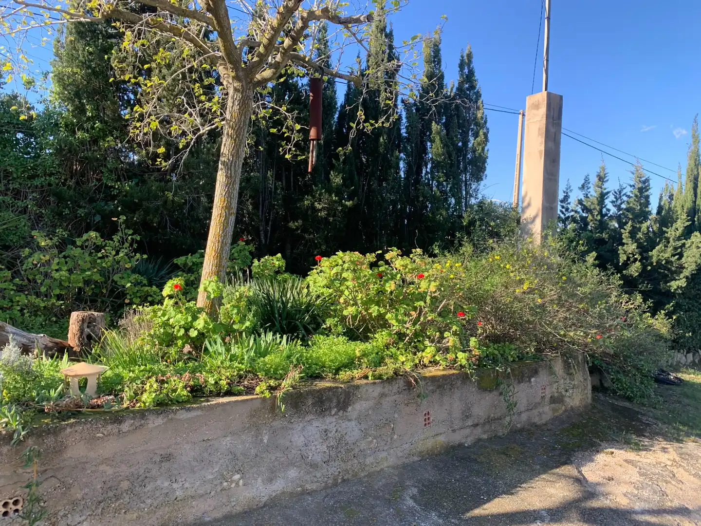 Jardí de Finca rústica en venda en Tortosa amb Aire condicionat, Calefacció i Jardí privat