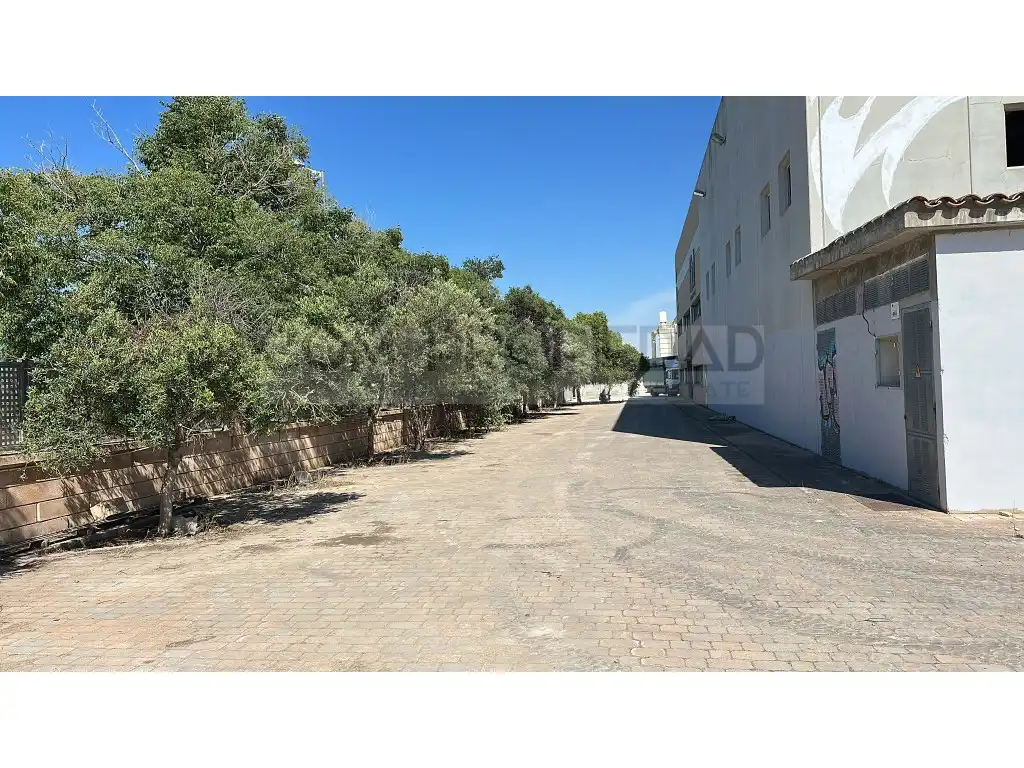 Exterior view of Industrial buildings for rent in Bunyola