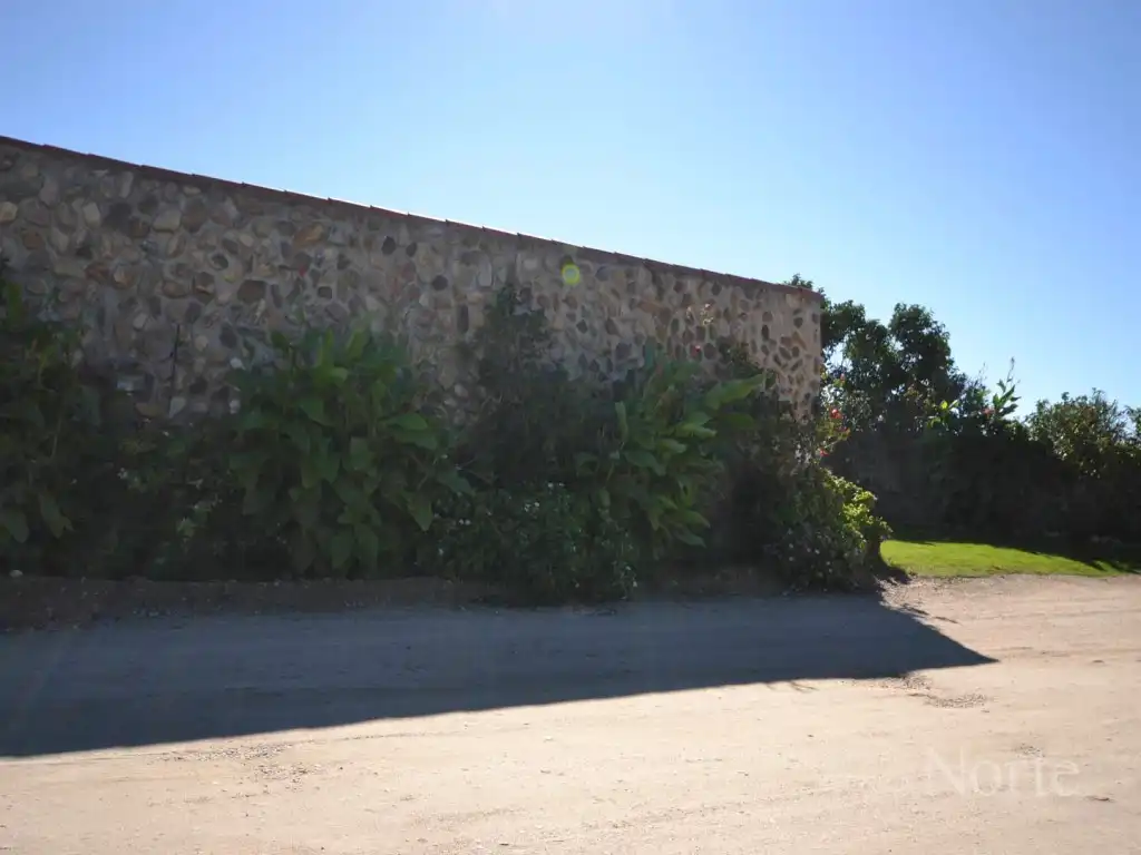 Vista exterior de Casa o chalet en venta en Fuente El Saz de Jarama, Madrid