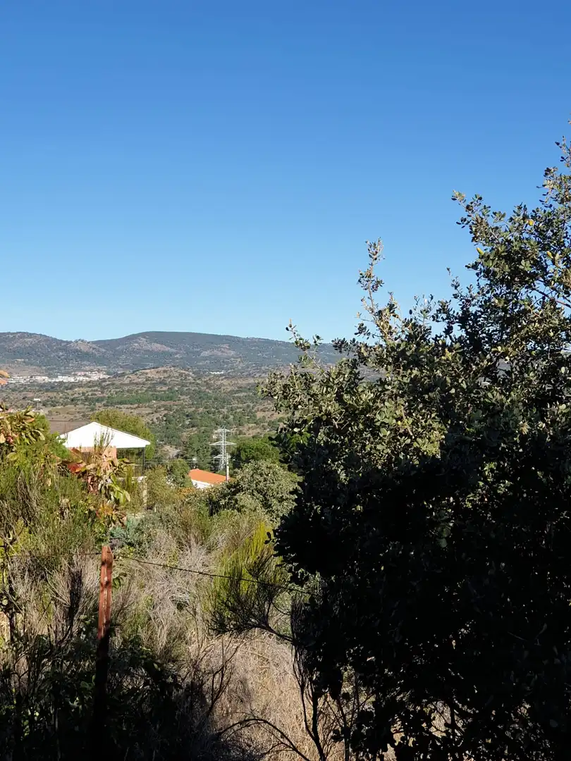 Vista exterior de Terreny en venda en El Tiemblo 