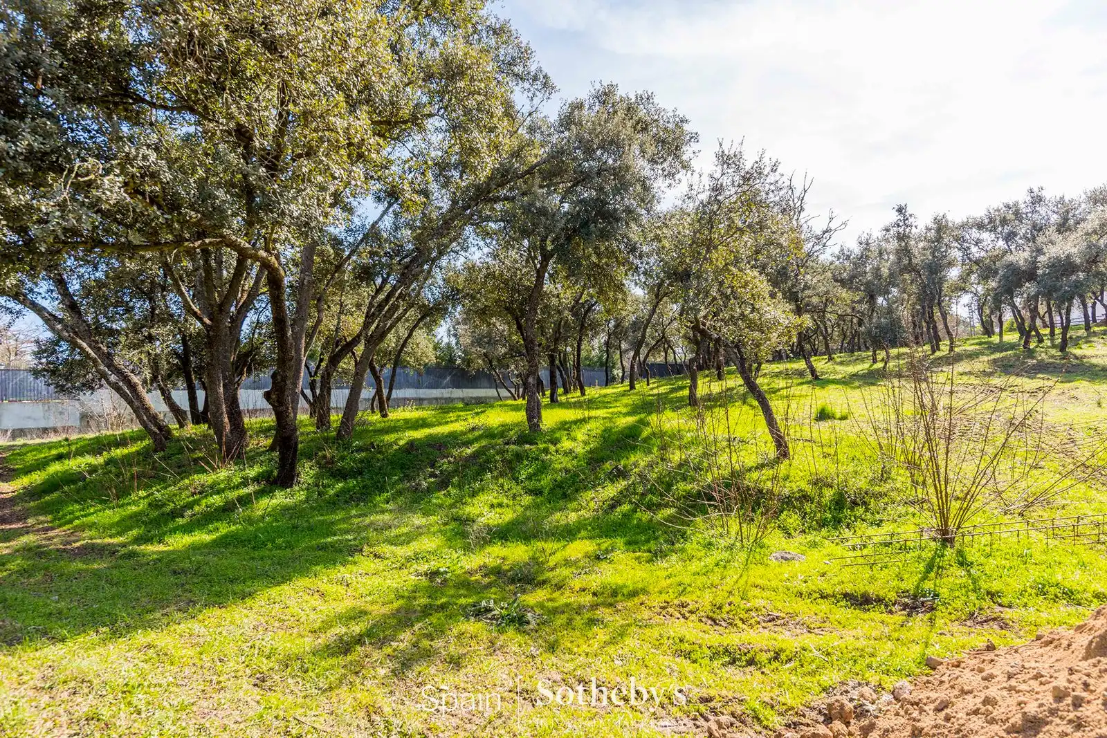 Terreno residencial en venta en Calle de Guecho, imagen 29