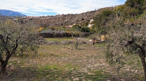 Foto 4 de Casa o xalet en venda a Calle Granadillos, 6, Abla, Almería