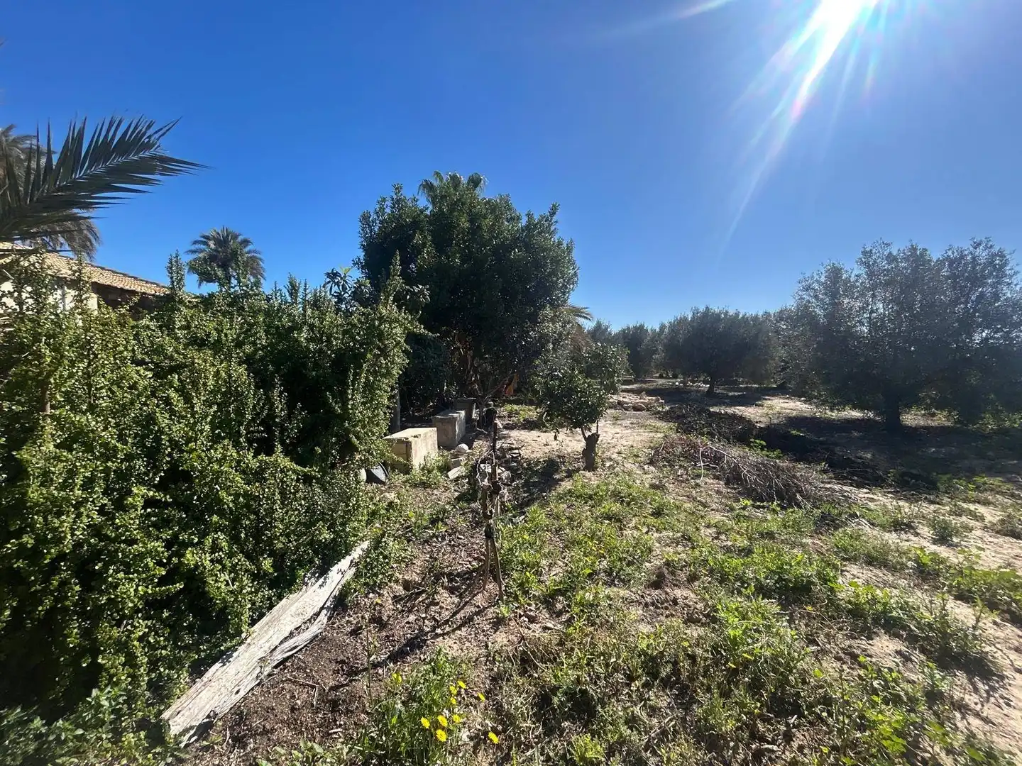 Villa avec jardin à vendre à Polígono Poligono 1, imagen 40