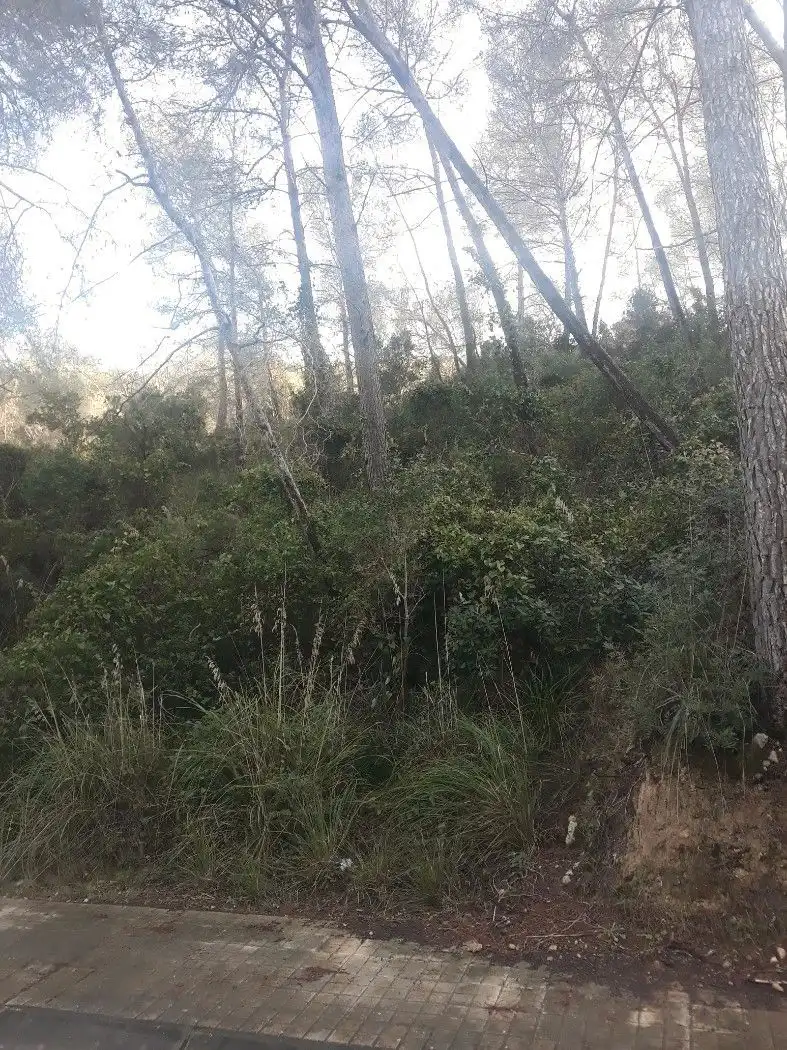 Terreno residenziale in vendita a Carrer el Fonoll 14, imagen 3