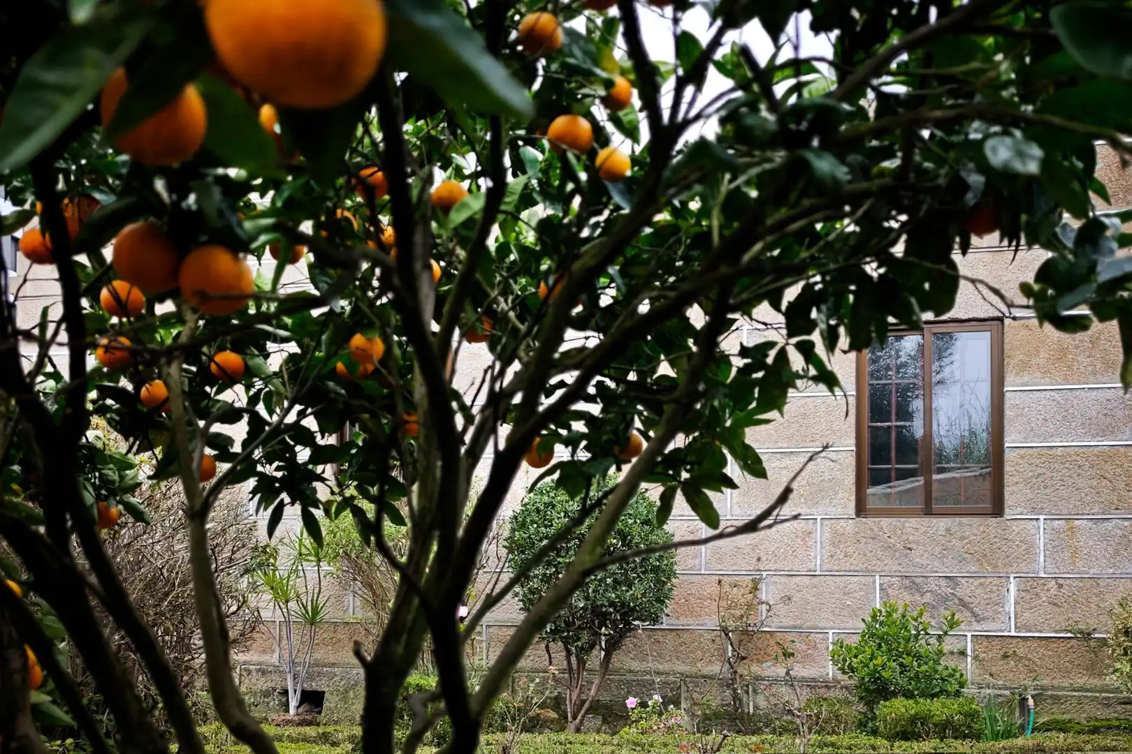 Jardín de Casa o chalet en venta en Vigo  con Jardín privado y Balcón