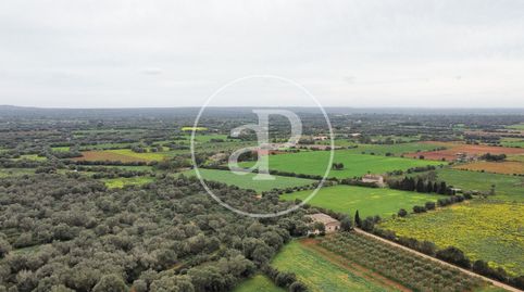 Foto 4 von Residential zum Verkauf in Camí de Ses Pedreres, Felanitx Poble, Felanitx