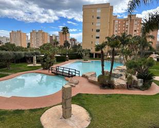 Piscina de Apartament de lloguer en Alicante / Alacant amb Aire condicionat, Calefacció i Jardí privat