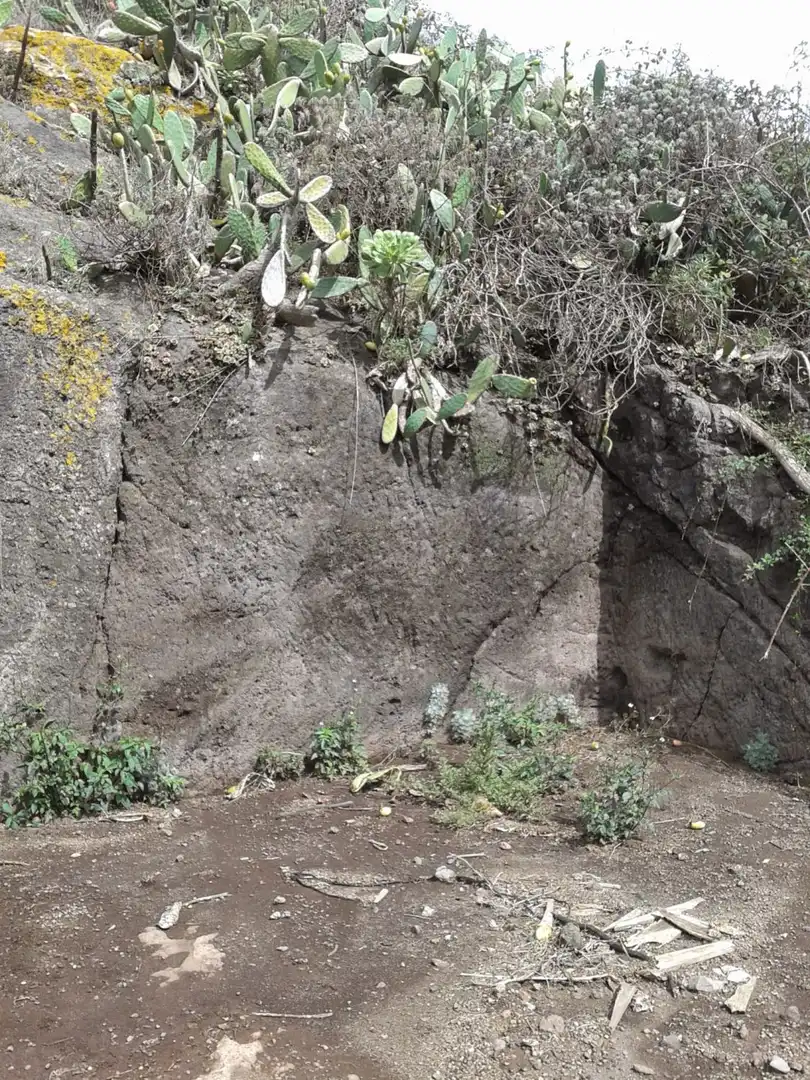 Außenansicht von Residential zum Verkauf in San Cristóbal de la Laguna