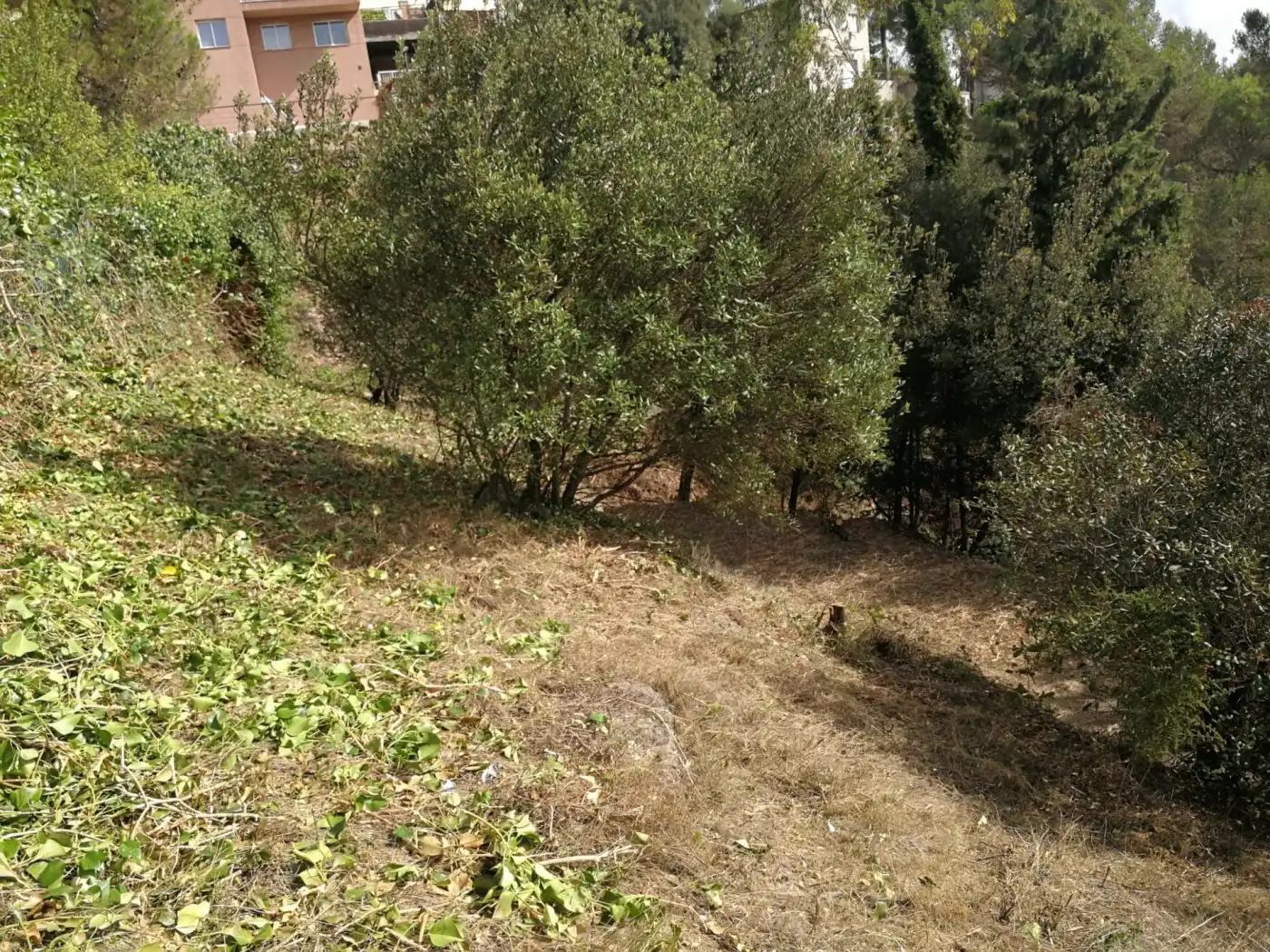 Residential land for sale in Calle Santa Agnes, imagen 9