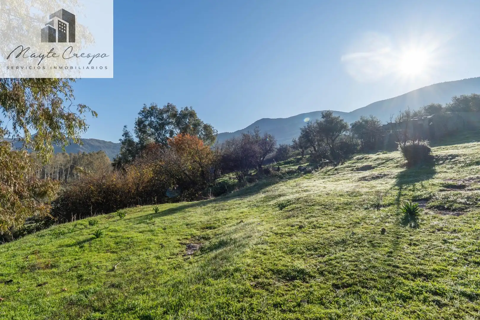 Rural land for sale in Órgiva, imagen 18