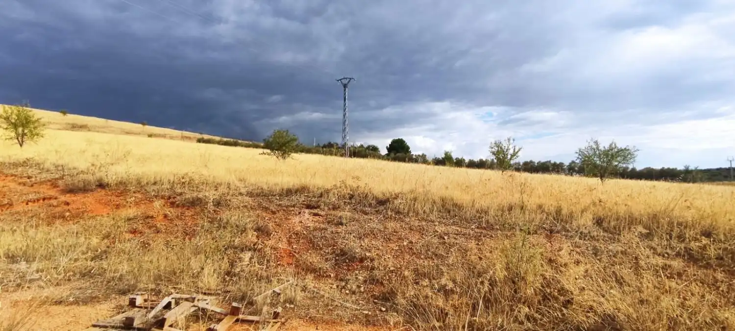 Lands and plots for sale in Valdepeñas, imagen 4