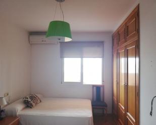 Bedroom of Attic for sale in Pilar de la Horadada  with Air Conditioner, Heating and Private garden