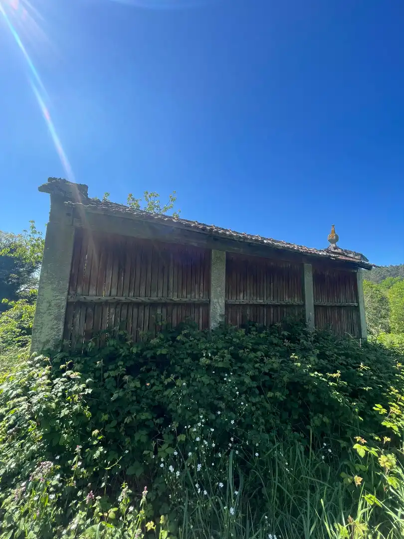 Casa rústica amb terrassa en venda a O Irixo, imagen 3