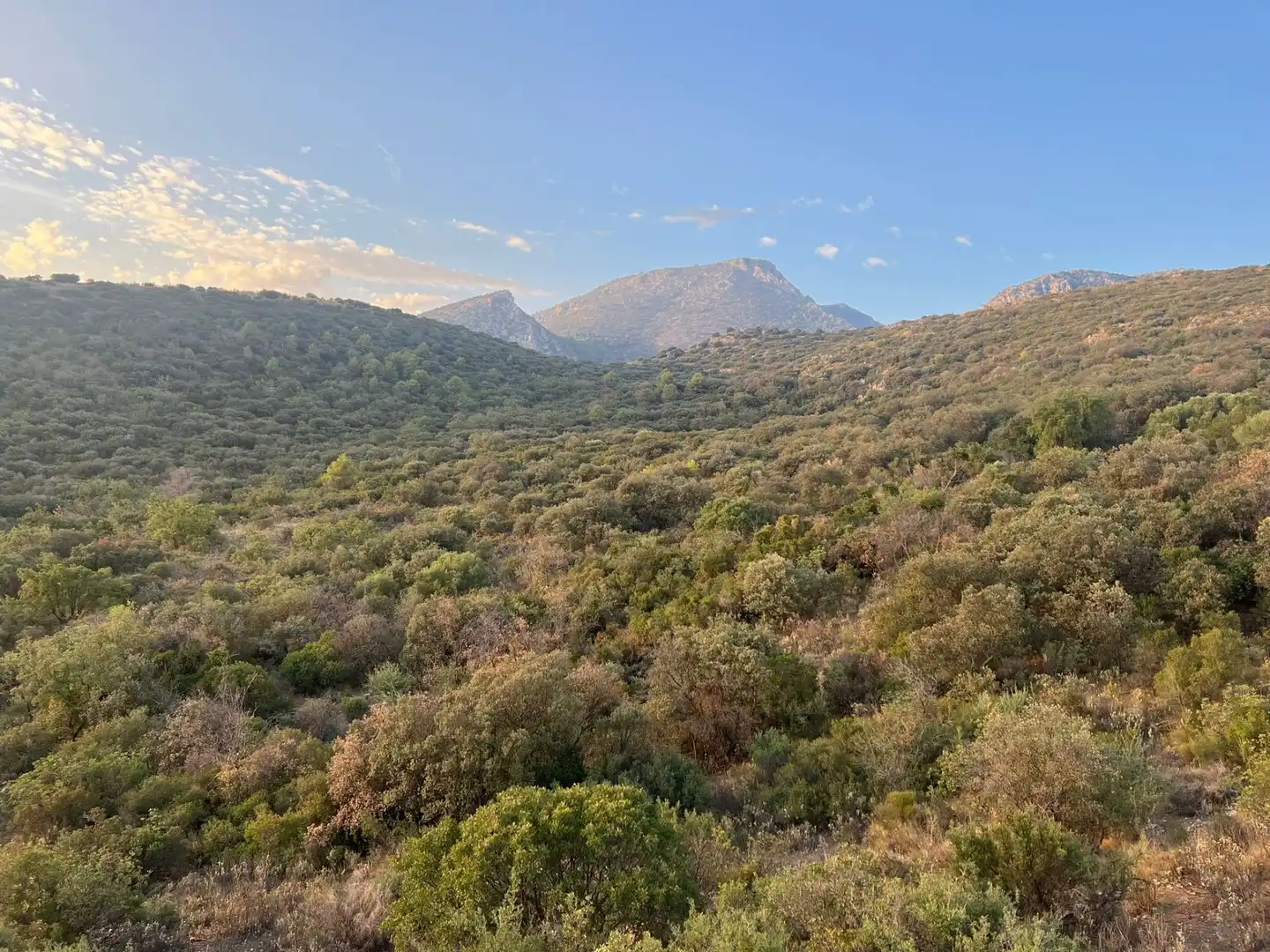 Terreno en venta en Jaén
