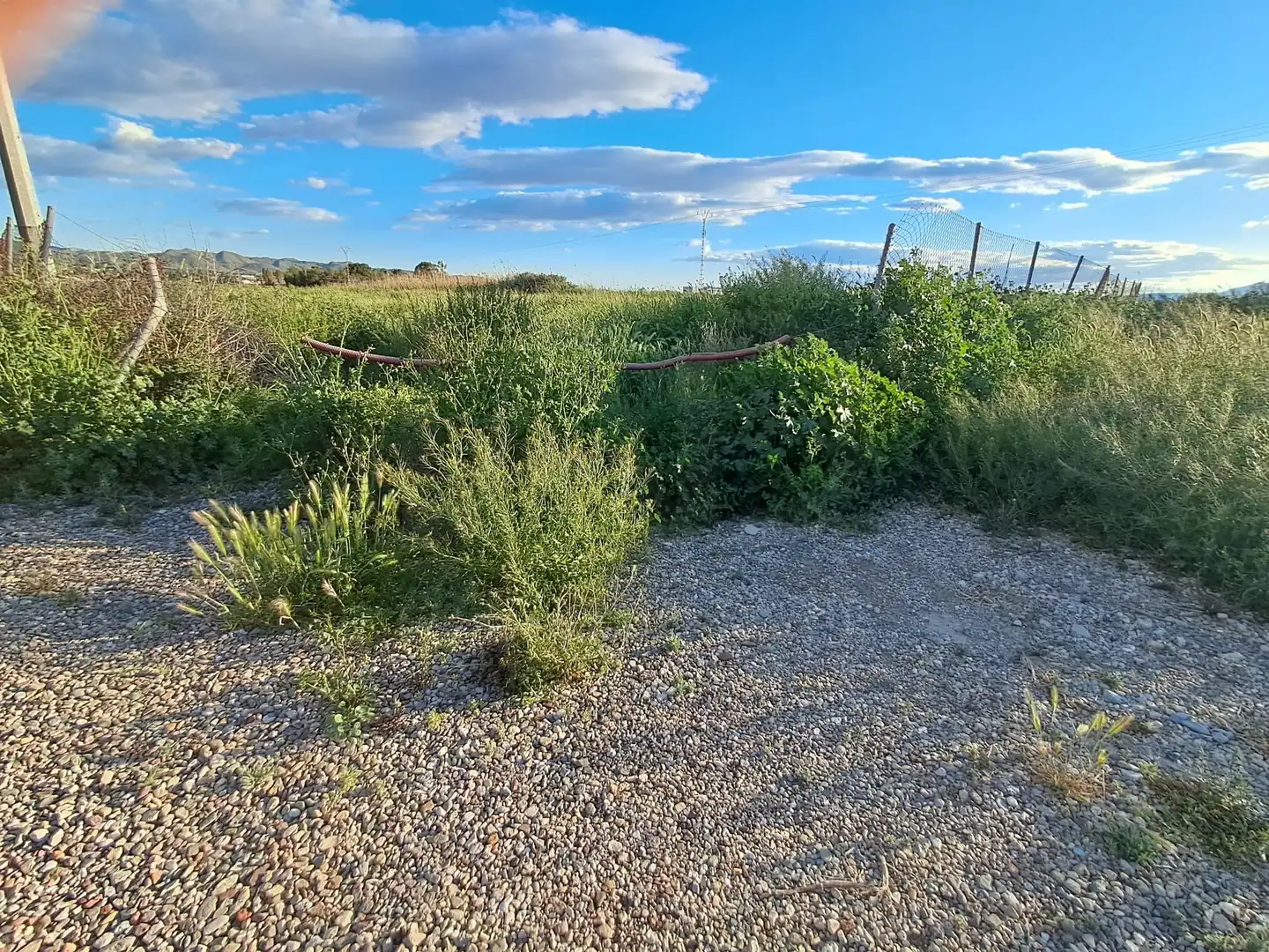 Terrenos y solares en venta en Lorca Ciudad, imagen 10