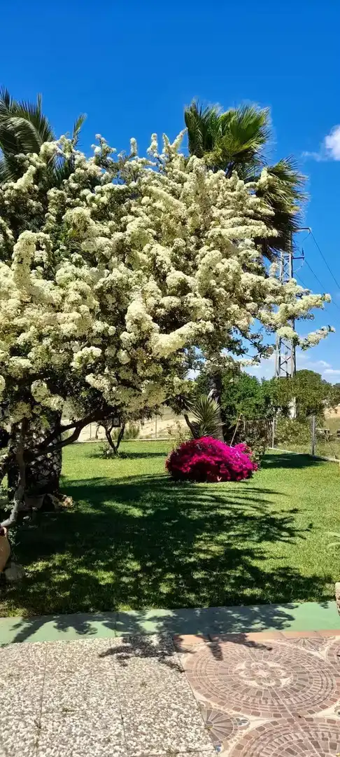 Casa adosada en venta en Calle ARTEMISA, Lepe