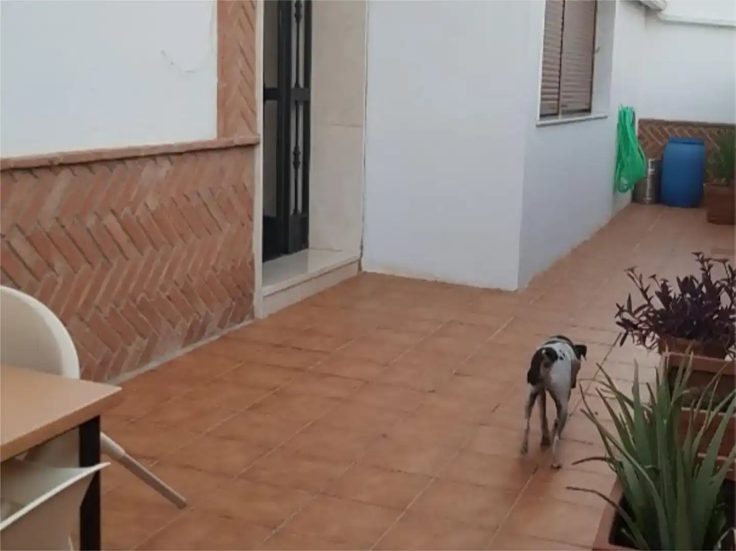 Vista exterior de Casa o xalet en venda en Loja amb Jardí privat, Piscina i Moblat