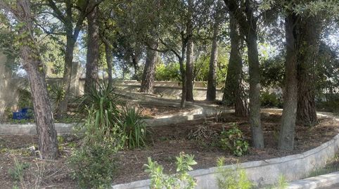 Parcela con vistas, immagine 3