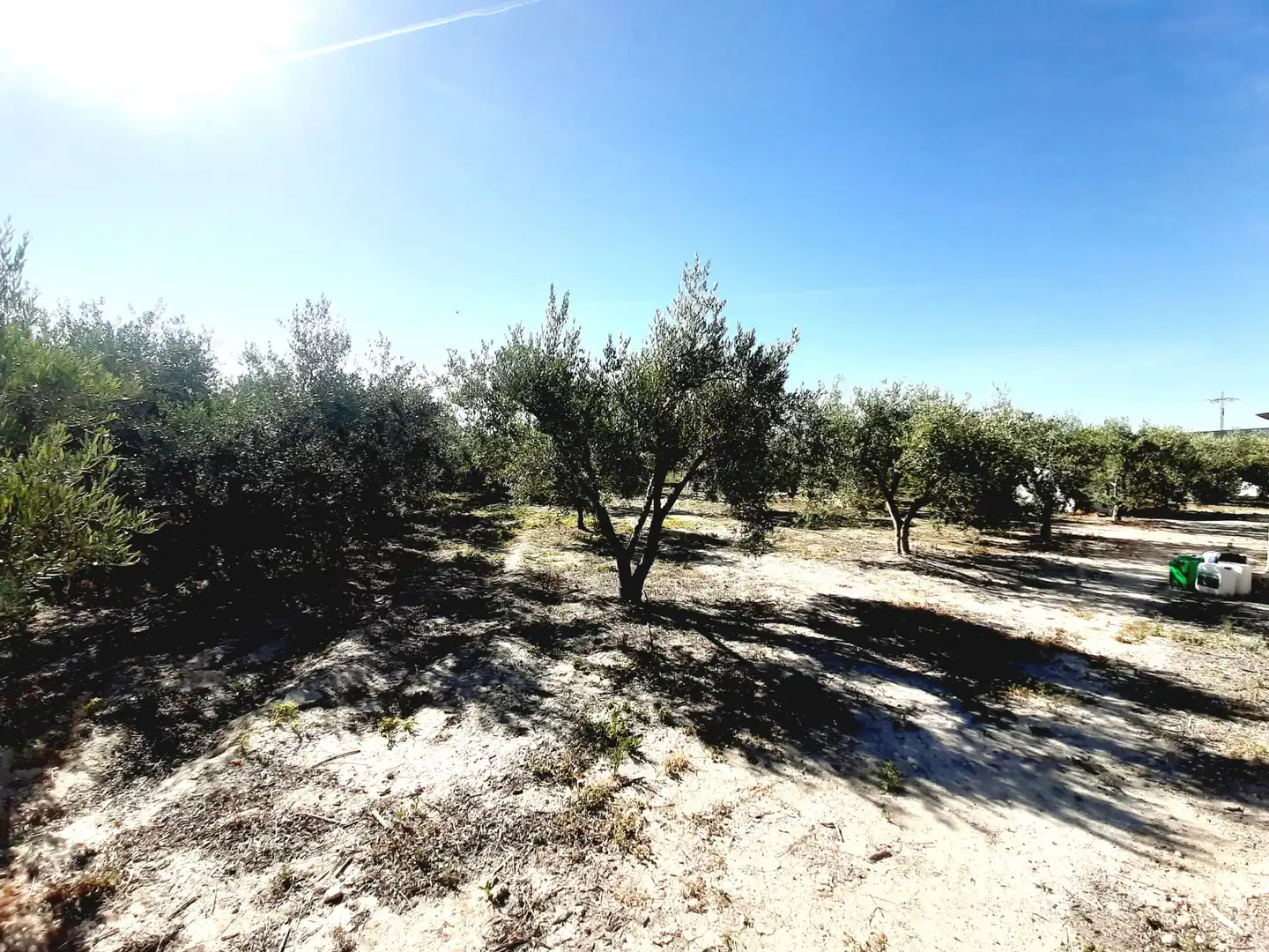 Lands and plots for sale in Mula, imagen 20