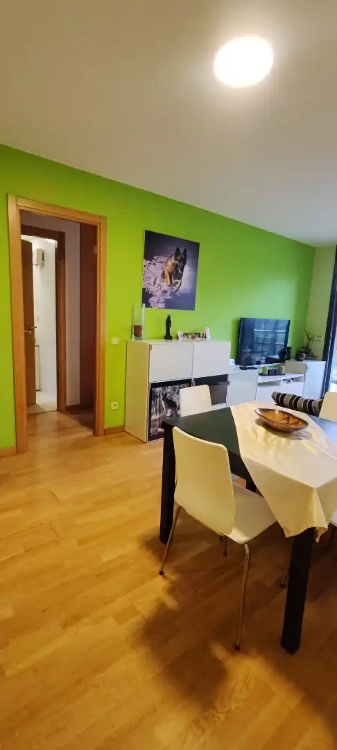 Living room of Flat for sale in Montferrer i Castellbò  with Heating, Private garden and Terrace