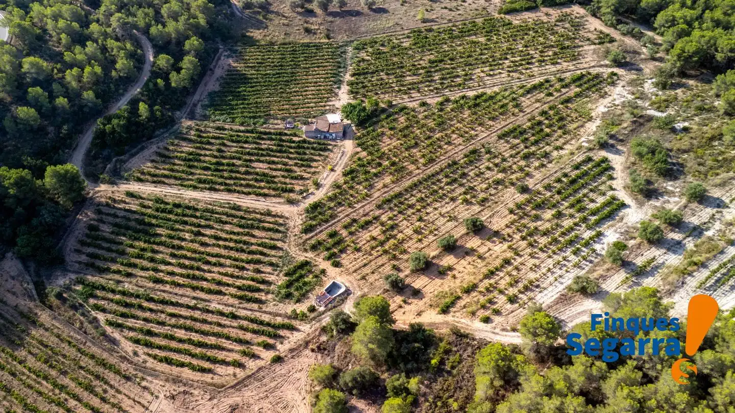 Land for sale in Bonastre, Bonastre