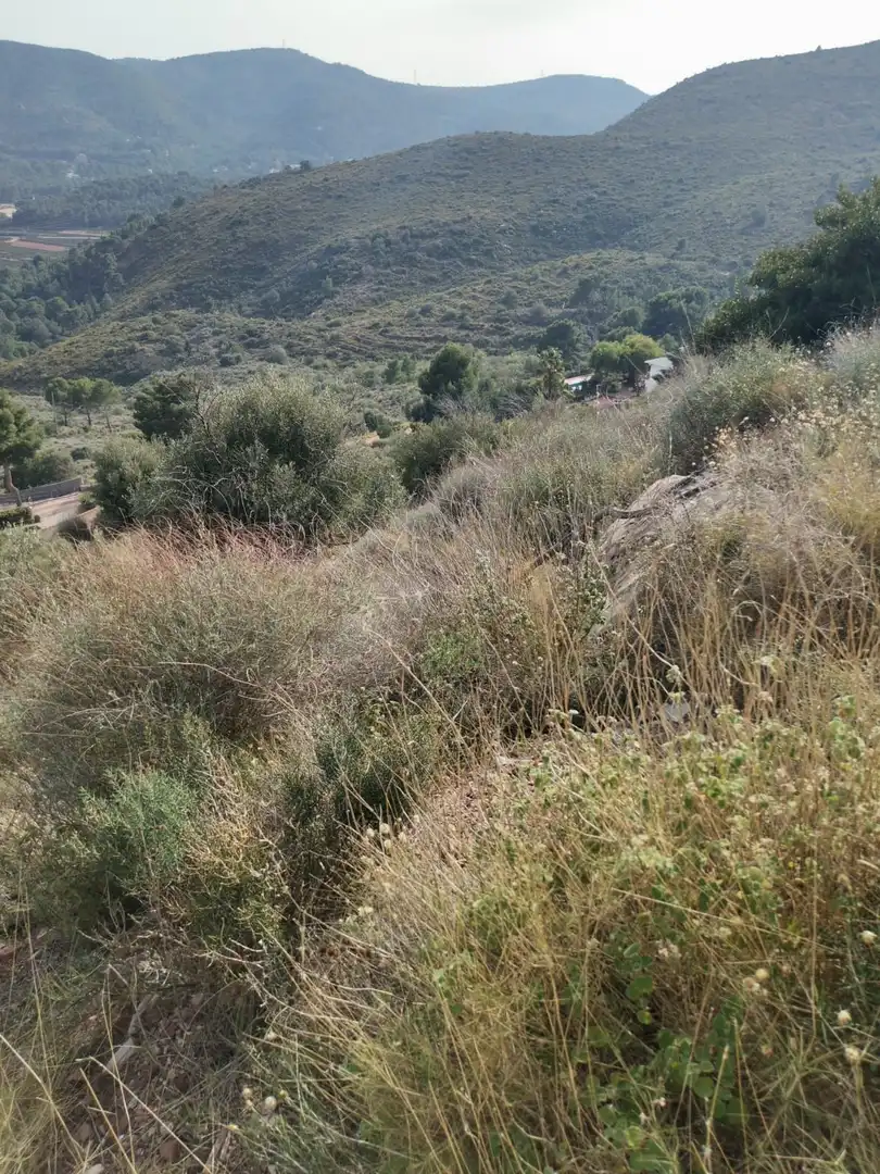 Rural land for sale in Partida Balcon de la Peña, imagen 5