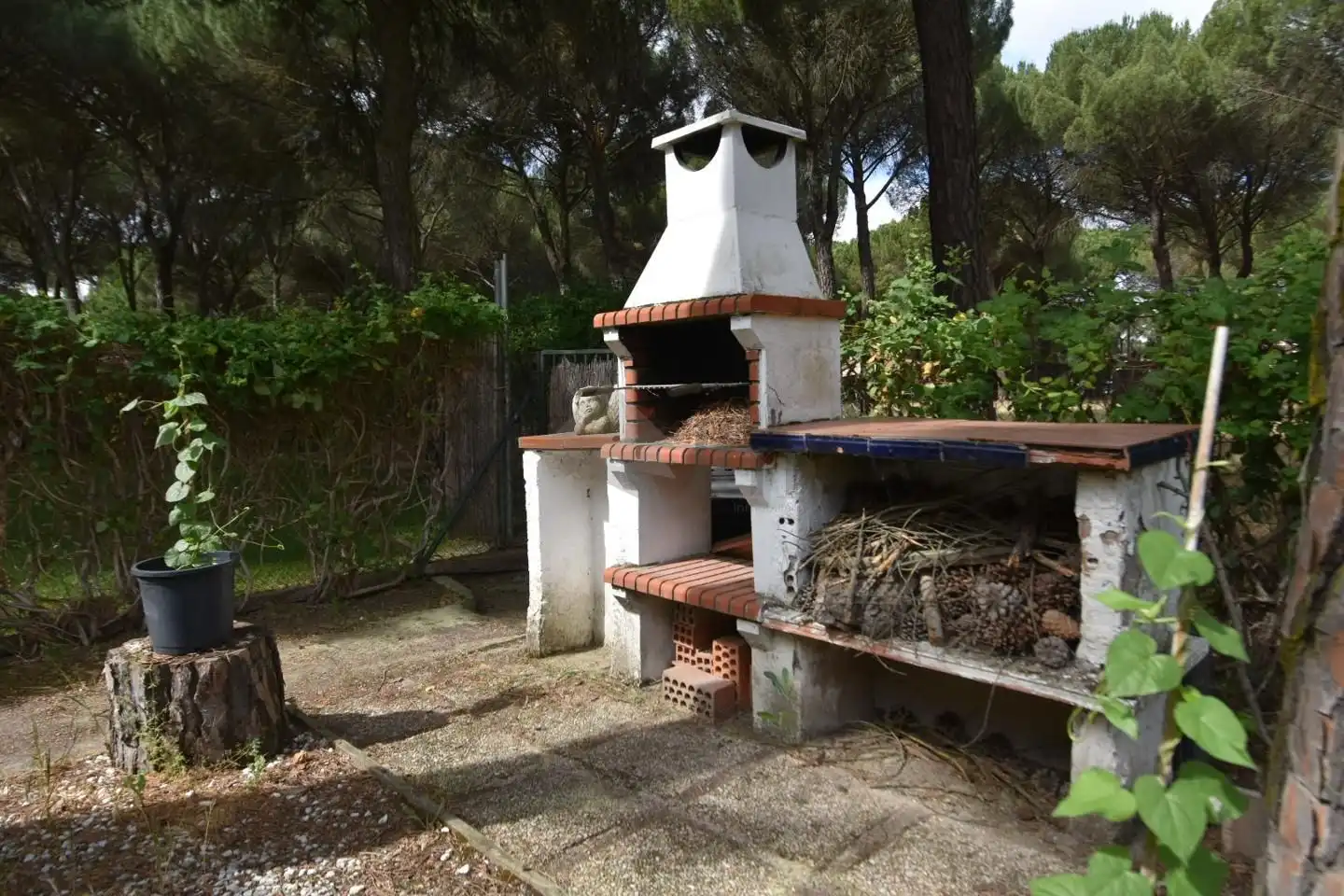 Jardín de Casa o chalet en venta en Olmedo con Calefacción, Jardín privado y Piscina comunitaria