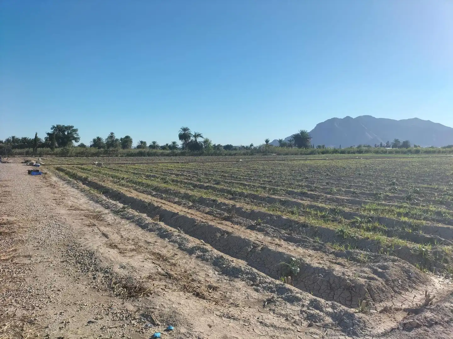Casa rústica en venda a Granja de Rocamora, imagen 22