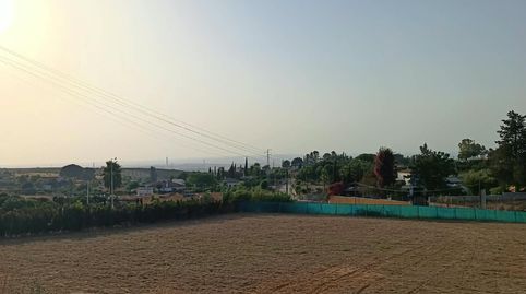 Foto 4 de Finca rústica en venda a A-8077, Olivares, Sevilla