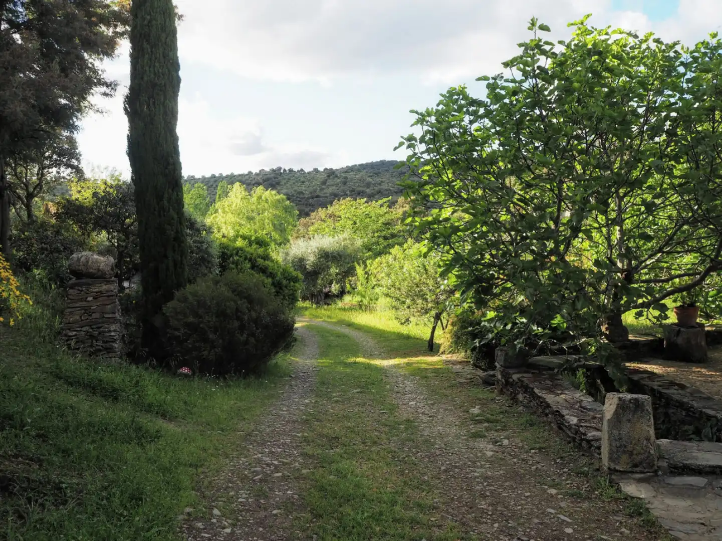 Houses for sale in Madroñera - LAS ANIMAS, Madroñera