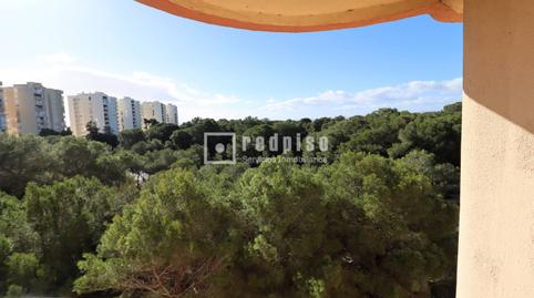 Photo 2 of Flat for rent in Gola del Pujol, El Saler, Valencia Capital