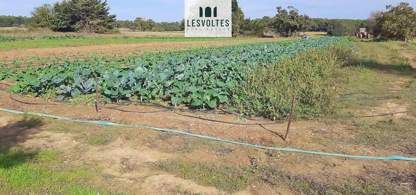 Residencial en venta en Palafrugell